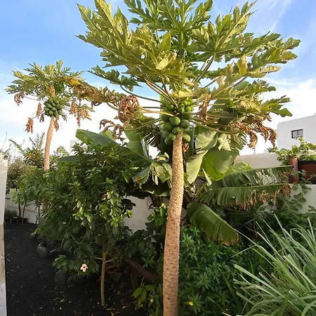 Appartement Jardin Del Mar