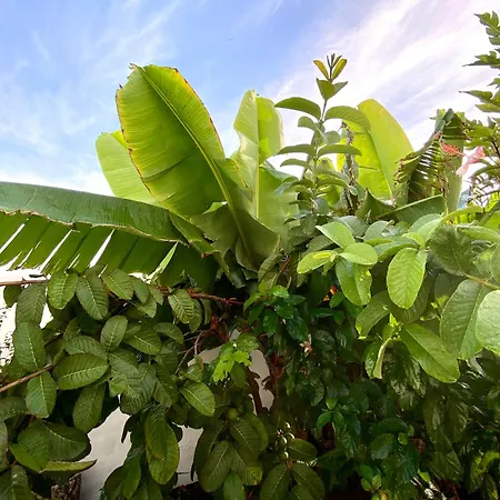 Jardin Del Mar Appartement *