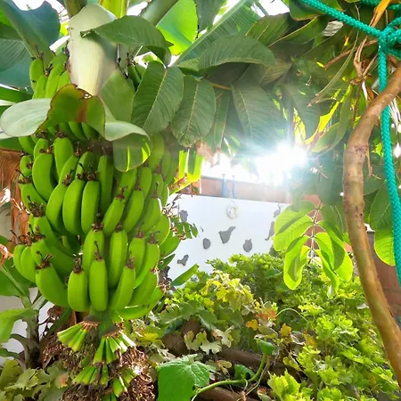 Διαμέρισμα Jardin Del Mar