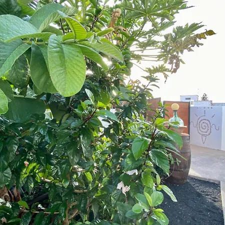 شقة Jardin Del Mar تيناجون