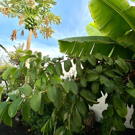 Jardin Del Mar 公寓