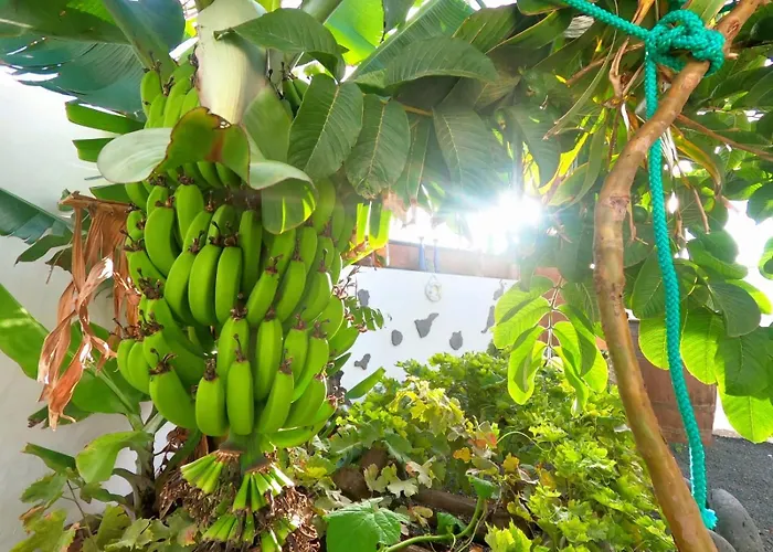 公寓 Jardin Del Mar