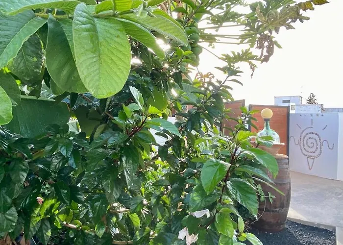 公寓 Jardin Del Mar 蒂纳霍