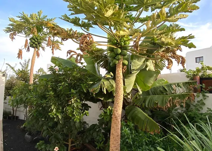 Apartament Jardin Del Mar